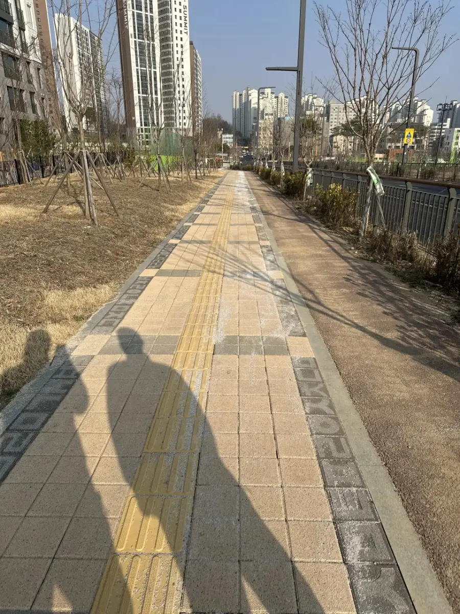 점자블록 포함 보행로 보도블럭 교체 시공 전 상태